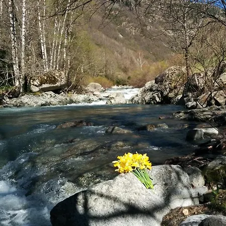 Culfreda * San Juan De Plan