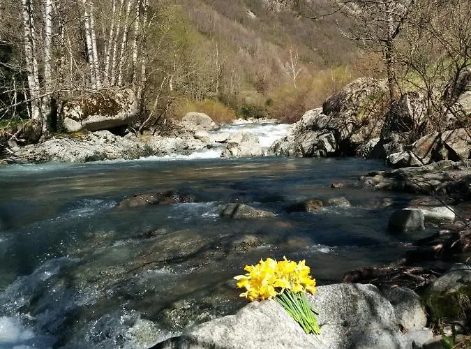 Culfreda * San Juan De Plan