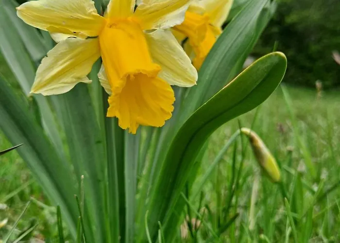 Culfreda Apartamento